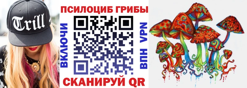 где купить наркоту  Выкса  Галлюциногенные грибы Cubensis 